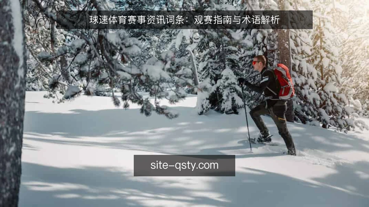 球速体育赛事资讯词条:观赛指南与术语解析