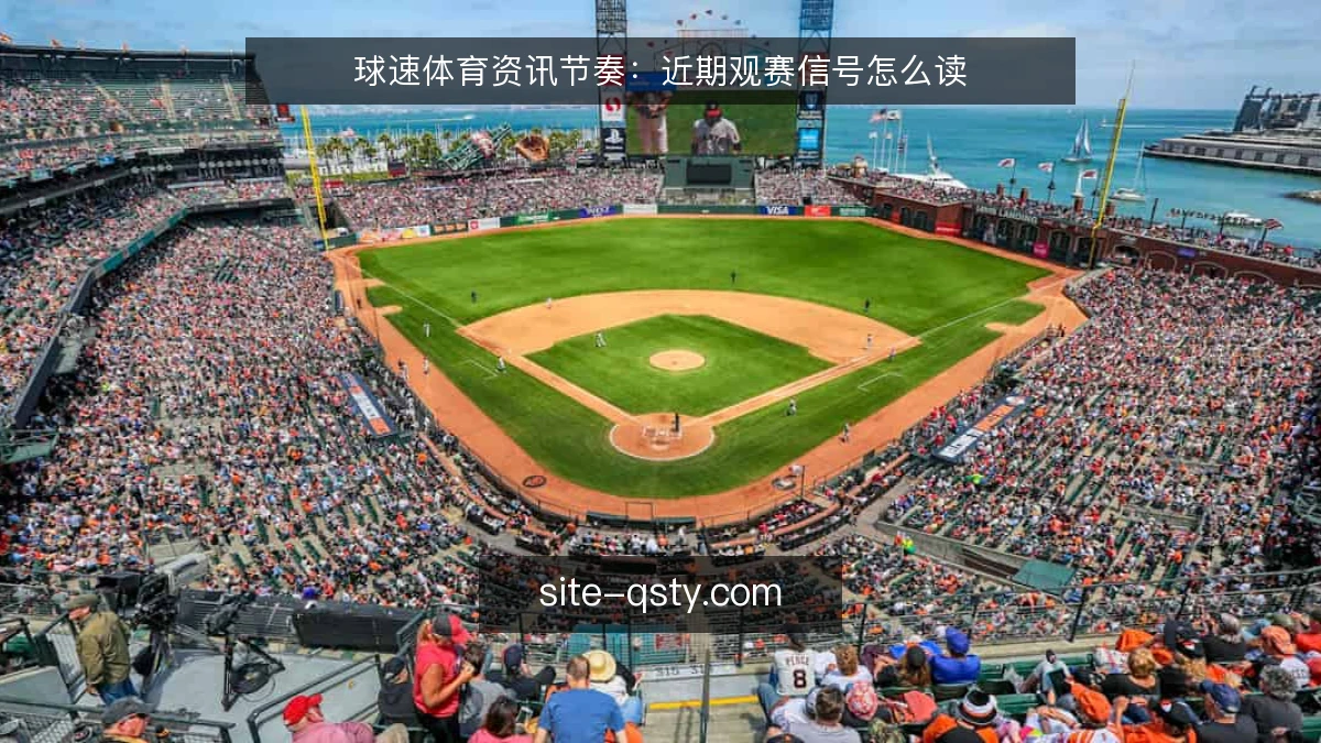 球速体育资讯节奏：近期观赛信号怎么读