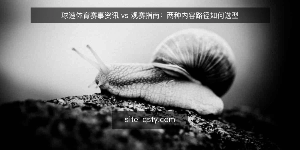 球速体育赛事资讯 vs 观赛指南:两种内容路径如何选型 — 选型先看内容目标与用户场景 配图