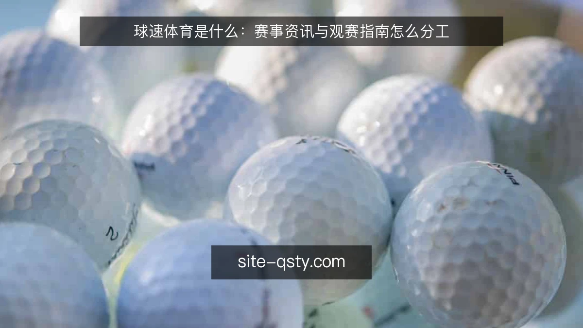 球速体育是什么:赛事资讯与观赛指南怎么分工