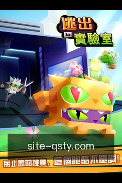 安全工作区